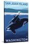 San Juan Island, Washington - Orca and Calf-Lantern Press-Stretched Canvas