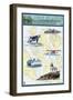 San Juan Islands, Washington - Nautical Chart-Lantern Press-Framed Art Print