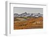 San Juan Mountains from the Dallas Divide morning light on fall colored Oak and Aspen, Colorado.-Darrell Gulin-Framed Photographic Print