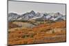 San Juan Mountains from the Dallas Divide morning light on fall colored Oak and Aspen, Colorado.-Darrell Gulin-Mounted Photographic Print