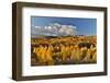 San Juan Mountains from the Dallas Divide morning light on fall colored Oak and Aspen, Colorado.-Darrell Gulin-Framed Photographic Print