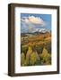 San Juan Mountains from the Dallas Divide morning light on fall colored Oak and Aspen, Colorado.-Darrell Gulin-Framed Photographic Print