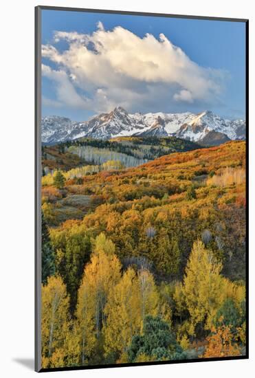 San Juan Mountains from the Dallas Divide morning light on fall colored Oak and Aspen, Colorado.-Darrell Gulin-Mounted Photographic Print