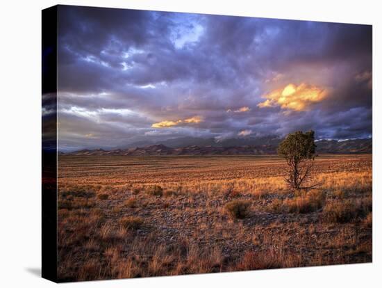 San Juan Mountains, Great Sand Dunes National Park, Co-Ryan Wright-Stretched Canvas