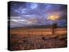 San Juan Mountains, Great Sand Dunes National Park, Co-Ryan Wright-Stretched Canvas