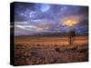 San Juan Mountains, Great Sand Dunes National Park, Co-Ryan Wright-Stretched Canvas