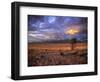 San Juan Mountains, Great Sand Dunes National Park, Co-Ryan Wright-Framed Photographic Print