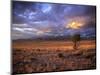 San Juan Mountains, Great Sand Dunes National Park, Co-Ryan Wright-Mounted Photographic Print