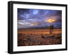 San Juan Mountains, Great Sand Dunes National Park, Co-Ryan Wright-Framed Photographic Print