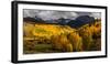 San Juan Mountains In Autumn, Colorado-null-Framed Photographic Print