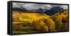 San Juan Mountains In Autumn, Colorado-null-Framed Stretched Canvas