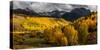 San Juan Mountains In Autumn, Colorado-null-Stretched Canvas