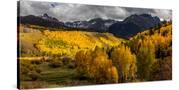 Stretched Canvas