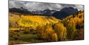 Wood Mount