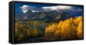 Canvas Black