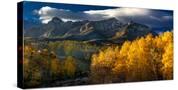 Stretched Canvas