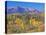 San Juan Mountains, Uncompahgre National Forest, Colorado, USA-Rob Tilley-Stretched Canvas