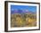 San Juan Mountains, Uncompahgre National Forest, Colorado, USA-Rob Tilley-Framed Photographic Print