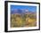 San Juan Mountains, Uncompahgre National Forest, Colorado, USA-Rob Tilley-Framed Photographic Print