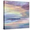 San Juan Sky 1-John Butler-Stretched Canvas