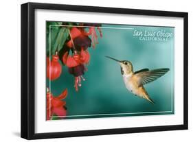 San Luis Obispo, California - Rufous Hummingbirds-Lantern Press-Framed Art Print