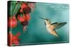 San Luis Obispo, California - Rufous Hummingbirds-Lantern Press-Stretched Canvas