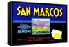 San Marcos Lemons-null-Framed Stretched Canvas