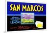 San Marcos Lemons-null-Framed Art Print