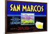 San Marcos Lemons-null-Framed Art Print