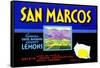 San Marcos Lemons-null-Framed Stretched Canvas