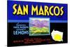 San Marcos Lemons-null-Stretched Canvas