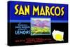 San Marcos Lemons-null-Stretched Canvas