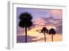 San Marcos Sunset 4-Alan Hausenflock-Framed Photographic Print