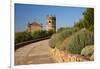 San Mateo Church Seen from Burgalimar Castle in Andalusia, Spain-Julianne Eggers-Framed Photographic Print