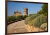 San Mateo Church Seen from Burgalimar Castle in Andalusia, Spain-Julianne Eggers-Framed Photographic Print