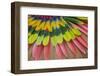 San Miguel De Allende, Mexico. Native feather headdress-Darrell Gulin-Framed Photographic Print