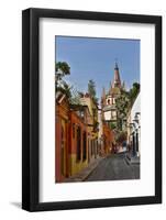 San Miguel De Allende, Mexico. Ornate Parroquia de San Miguel Archangel.-Darrell Gulin-Framed Photographic Print