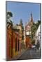 San Miguel De Allende, Mexico. Ornate Parroquia de San Miguel Archangel.-Darrell Gulin-Mounted Photographic Print