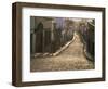 San Miguel De Allende, Near Guanajuato, Mexico, North America-James Gritz-Framed Photographic Print