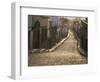 San Miguel De Allende, Near Guanajuato, Mexico, North America-James Gritz-Framed Photographic Print