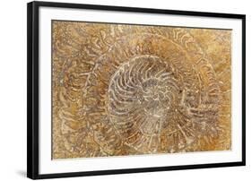 San Miguel Fossils I-Kathy Mahan-Framed Photographic Print