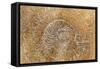 San Miguel Fossils I-Kathy Mahan-Framed Stretched Canvas