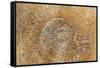 San Miguel Fossils I-Kathy Mahan-Framed Stretched Canvas