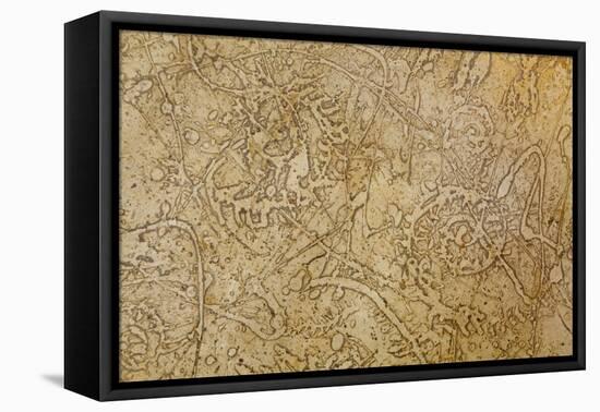 San Miguel Fossils II-Kathy Mahan-Framed Stretched Canvas