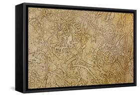 San Miguel Fossils II-Kathy Mahan-Framed Stretched Canvas