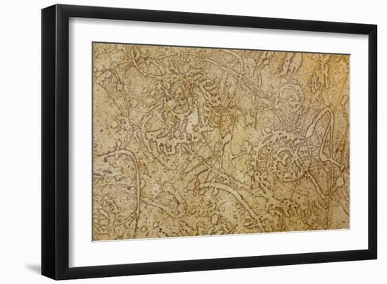 San Miguel Fossils II-Kathy Mahan-Framed Photographic Print