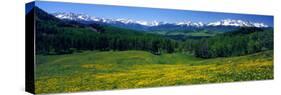 San Miguel Mountains in Spring, Colorado, USA-null-Stretched Canvas