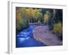 San Miguel River and Aspens in Autumn, Colorado, USA-Julie Eggers-Framed Photographic Print