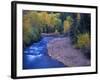 San Miguel River and Aspens in Autumn, Colorado, USA-Julie Eggers-Framed Photographic Print