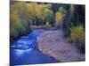 San Miguel River and Aspens in Autumn, Colorado, USA-Julie Eggers-Mounted Photographic Print